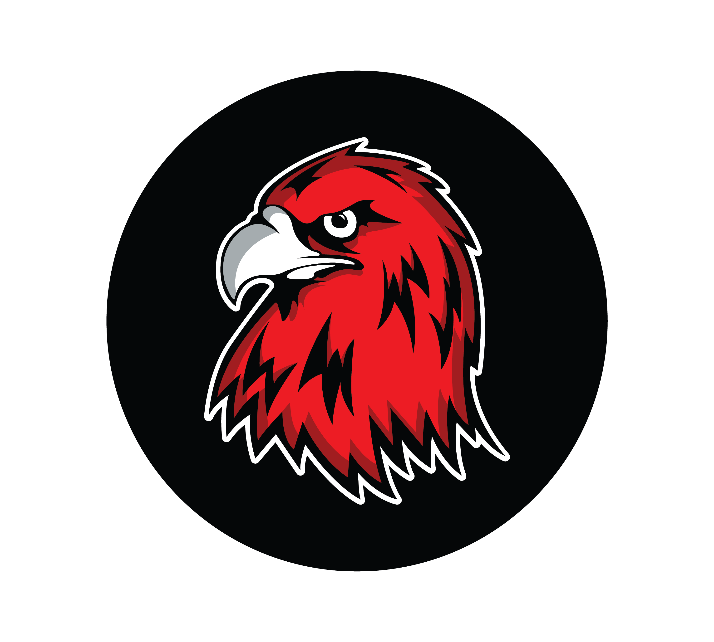 Northeast Elementary Magnet logo